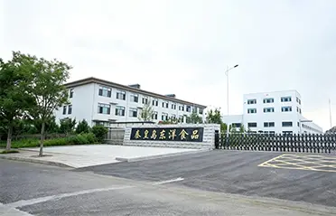 250 मिलियन RMB लगानी र 40,000㎡ कारखानाको साथ, Dongyang Foods ले उच्च गुणस्तरको तत्काल चाउचाउ उत्पादनको लागि बलियो आधार निर्माण गरेको छ। 250 मिलियन RMB लगानी र 40,000㎡ कारखानाको साथ, Dongyang Foods ले उच्च गुणस्तरको तत्काल चाउचाउ उत्पादनको लागि बलियो आधार निर्माण गरेको छ।